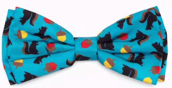 SQ DOG BOW TIE